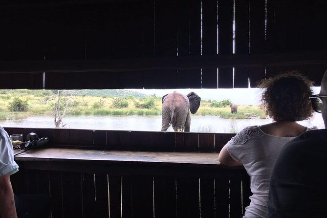 Pilanesberg camping Safari from Johannesburg - What’s Included and What’s Not