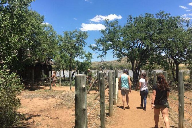 Pilanesberg camping Safari from Johannesburg - Authentic Experiences and Unique Highlights