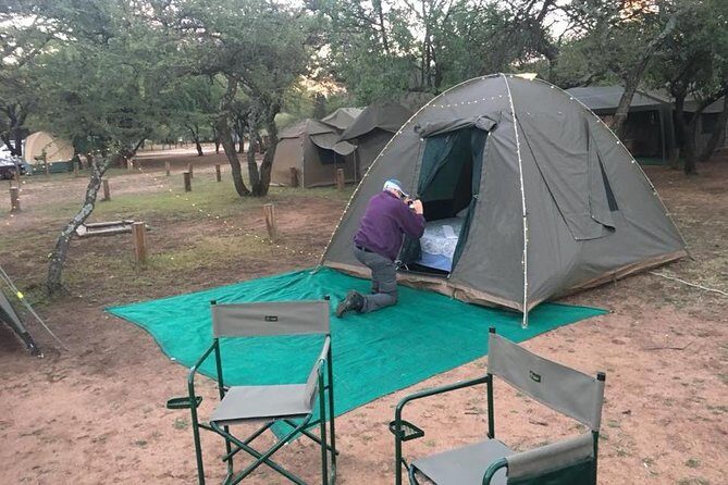 Pilanesberg camping Safari from Johannesburg - Who Is This Tour Best For?