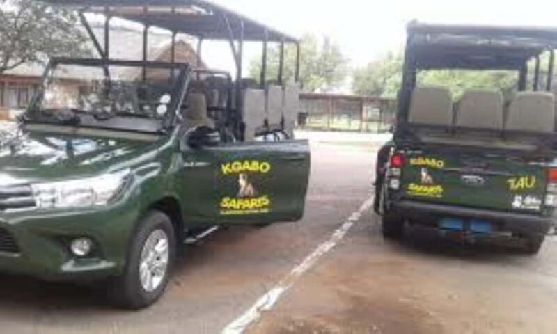 Pilanesberg : Evening Night Safari Drive - Final Thoughts