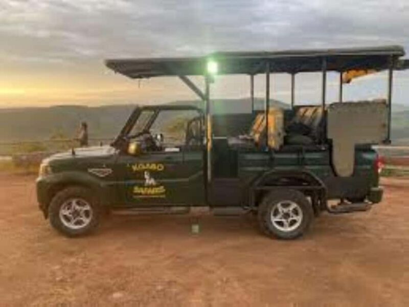 Pilanesberg : Game Drive and Bush Braai - Why This Tour Might Be Perfect for You