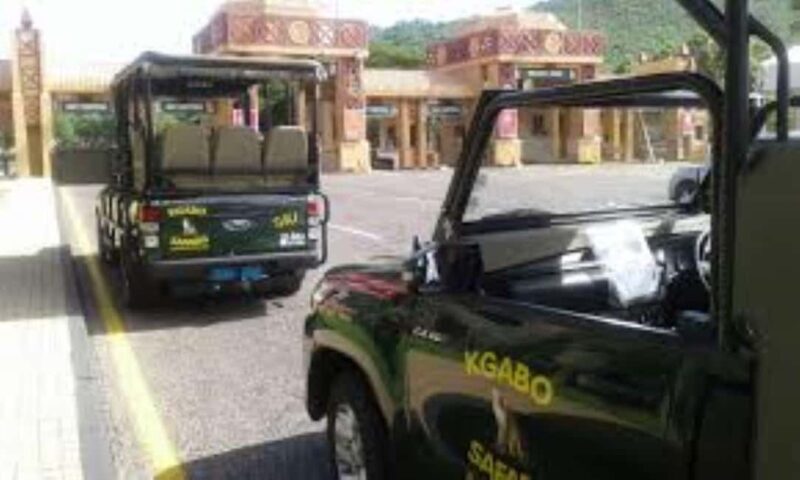 Pilanesberg : Game Drive with Lunch - Bakubung Gate - Analyzing the Experience: What to Expect at Pilanesberg