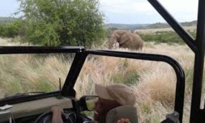 Pilanesberg : Game Drive with Lunch - Manyane Gate - Who is This Tour Best For?