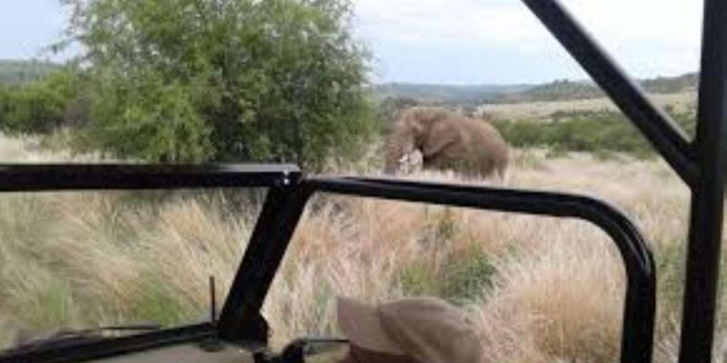 Pilanesberg : Game Drive with Lunch - Manyane Gate - Frequently Asked Questions
