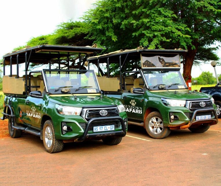 Pilanesberg Morning or Afternoon 3 Hour Game Drive - An In-Depth Look at the Game Drive Experience