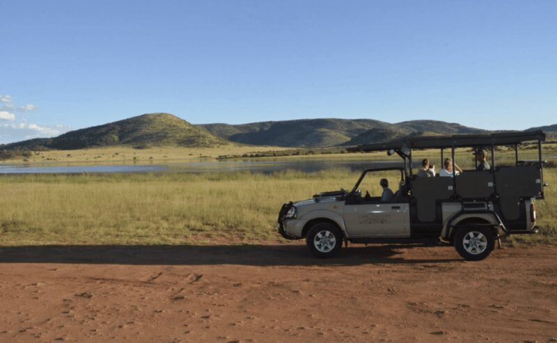 Pilanesberg National Park: 6H Game Drive with Lunch - Pricing and Value