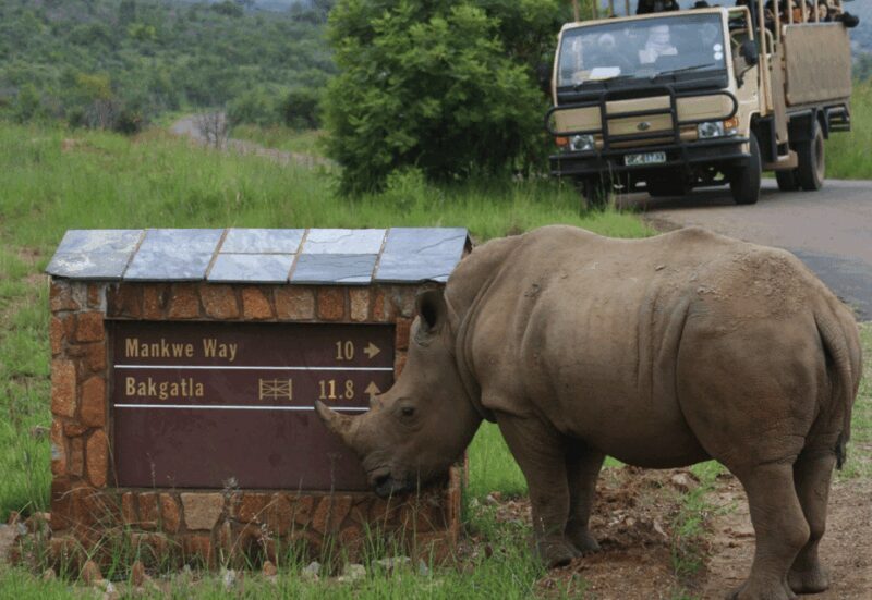 Pilanesberg National Park: 6H Game Drive with Lunch - FAQ