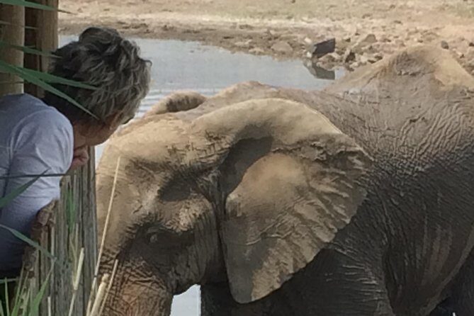Pilanesberg National Park Safari in Open Vehicle from Johannesburg - who Would Love This Tour?