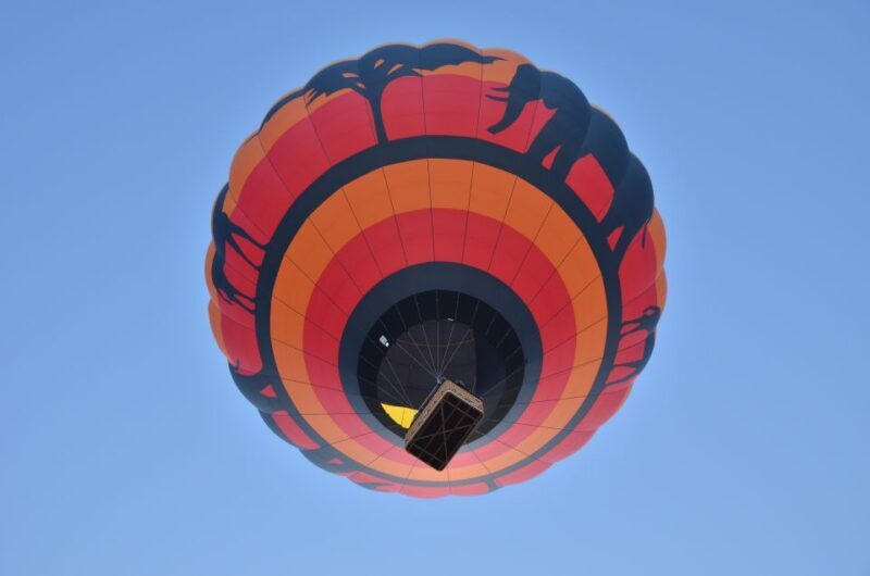 Pilanesberg National Park/Sun City Hot Air Balloon Safari - What to Expect from the Tour