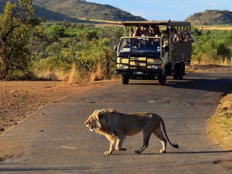 Pilanesberg National Park/Sun City Hot Air Balloon Safari - Considerations for Travelers