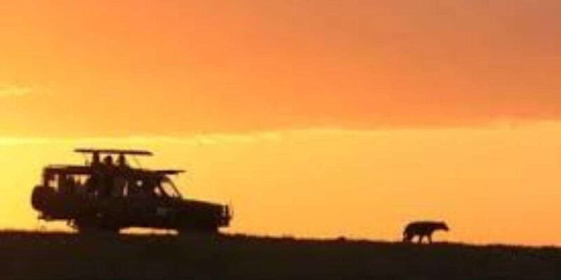 Pilanesberg : Sunset Afternoon Drive - FAQs