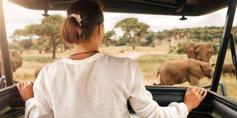 Pilanesberg: Two-Day Camping Adventure from Johannesburg - Key Points