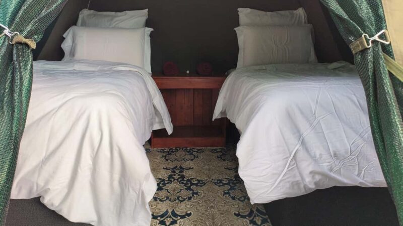 Pilanesberg: Two-Day Camping Adventure from Johannesburg - An Introduction to the Experience
