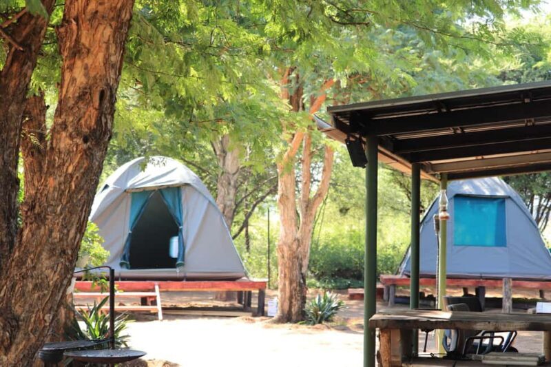 Pilanesberg: Two-Day Camping Adventure from Johannesburg - Authenticity Meets Value
