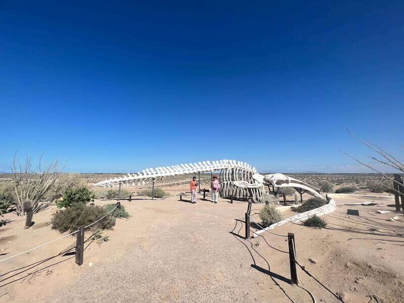 Pinacate: 3-day tour to the craters and surrounding towns - The Practicalities: Transportation, Group Size, and Cost