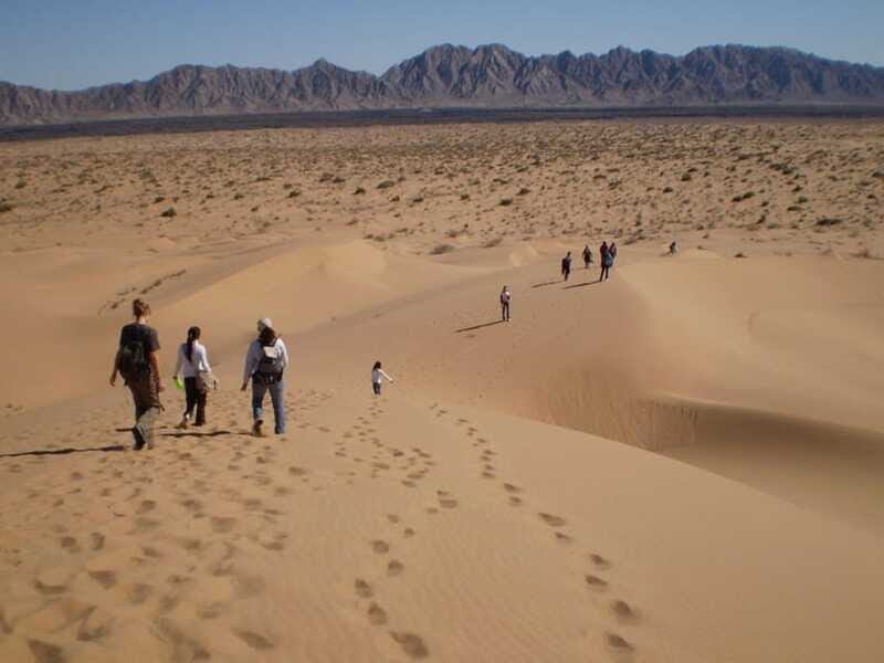 Pinacate: 3-day tour to the craters and surrounding towns - Authenticity and Value: What Travelers Are Saying
