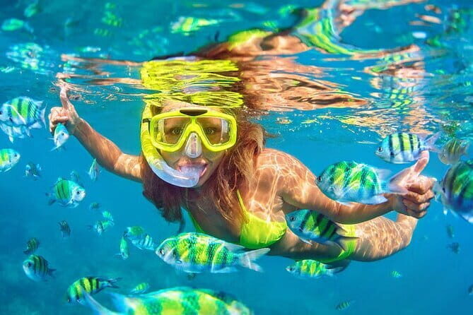 Pink Dolphin and Snorkeling Full Day Experience - Final Thoughts