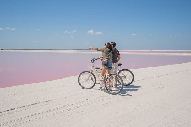 Pink Lake Lagoon and Rio Lagartos Tour from Cancun - A Detailed Look at the Tour Experience
