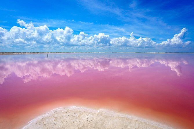 Pink Lake Las Coloradas + Rio Lagartos Reserve! Transportation from Cancun - An In-Depth Look at the Tour Experience
