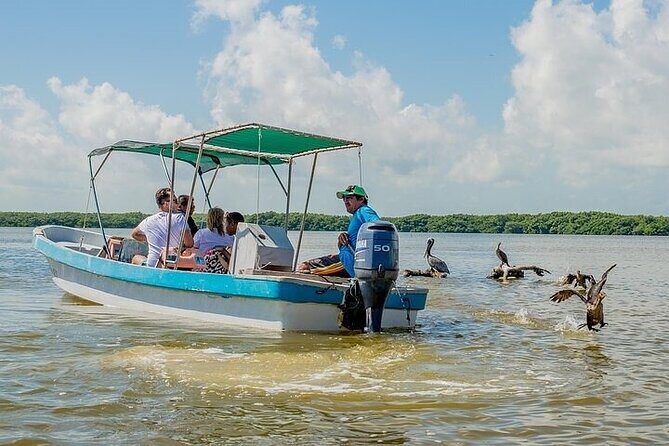 Pink Lake Las Coloradas + Rio Lagartos Reserve! Transportation from Cancun - Who Will Love This Tour?