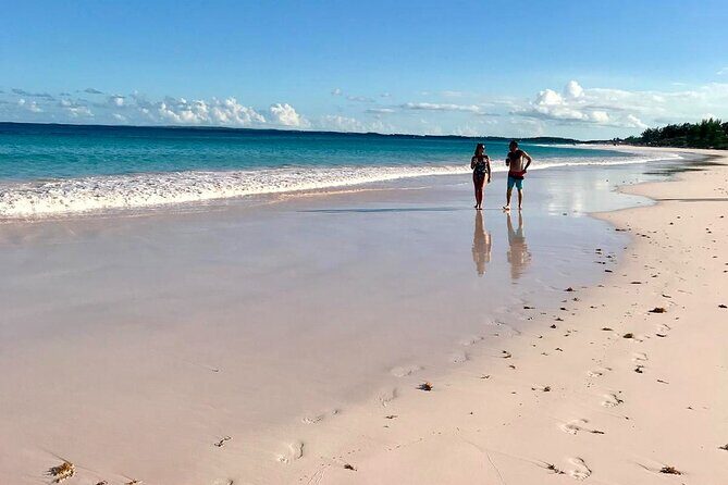 Pink Sand Beach and Swimming Pigs Adventure from Nassau - The Itinerary: A Closer Look at Each Stop