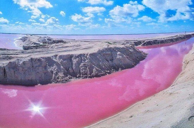 Pink Waters of Las Coloradas, Pink Flamingos and Colonial City of Valladolid, - The Final Stop: Mayapan Traditional Agave Distillery