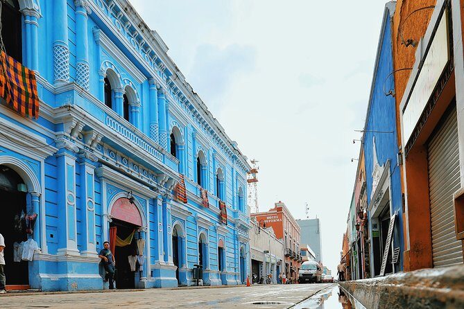 Pink Waters of Las Coloradas, Pink Flamingos and Colonial City of Valladolid, - Who Should Consider This Tour?