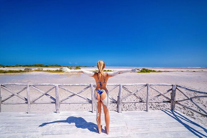 Pinktastic Lagoon Adventure Las Coloradas & Rio Lagartos from Cancun - A Detailed Look at What Youll Experience
