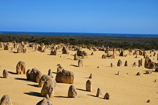 Pinnacle Day Adventure Tour - A Deep Dive into the Pinnacle Day Adventure Tour