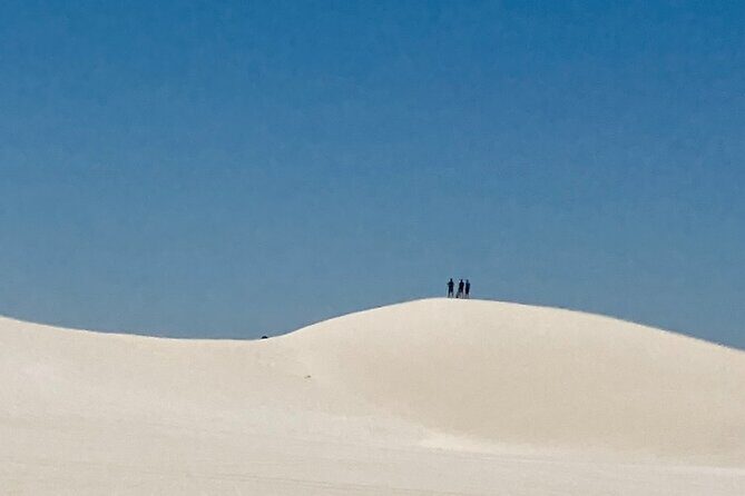 Pinnacles Desert and Catch Your Own Lobster Lunch Safari. - Who Should Consider This Tour?