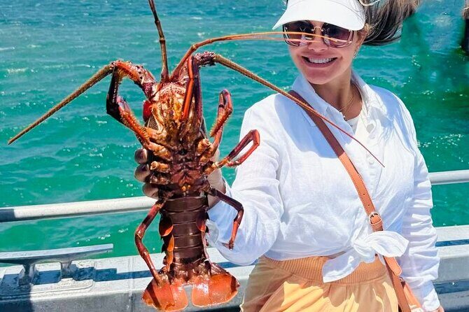 Pinnacles Desert and Catch Your Own Lobster Lunch Safari. - The Sum Up