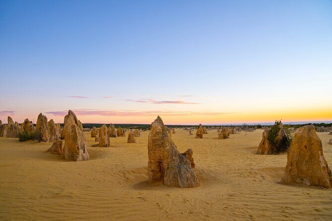 Pinnacles Desert Lobster Tour from Perth - An In-Depth Look at the Tour