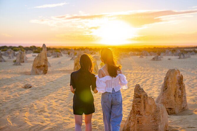 Pinnacles Desert Lobster Tour from Perth - Who Should Consider This Tour