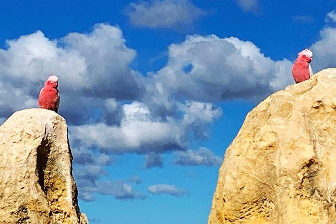 Pinnacles Desert Private Day Tour - Final Thoughts