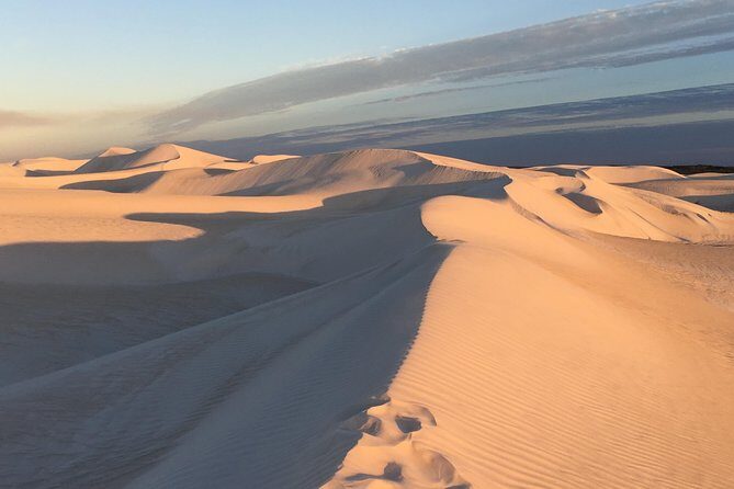 Pinnacles Desert Private Tour - Frequently Asked Questions
