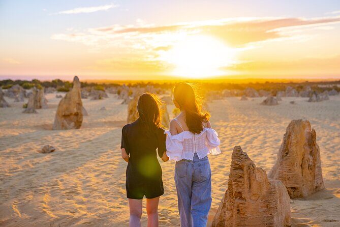 Pinnacles Desert Sunset Stargazing Adventure Tour from Perth - The Experience – What Works Well
