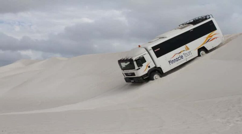Pinnacles, Koalas & Sandboarding Tour Day Trip from Perth - Key Points