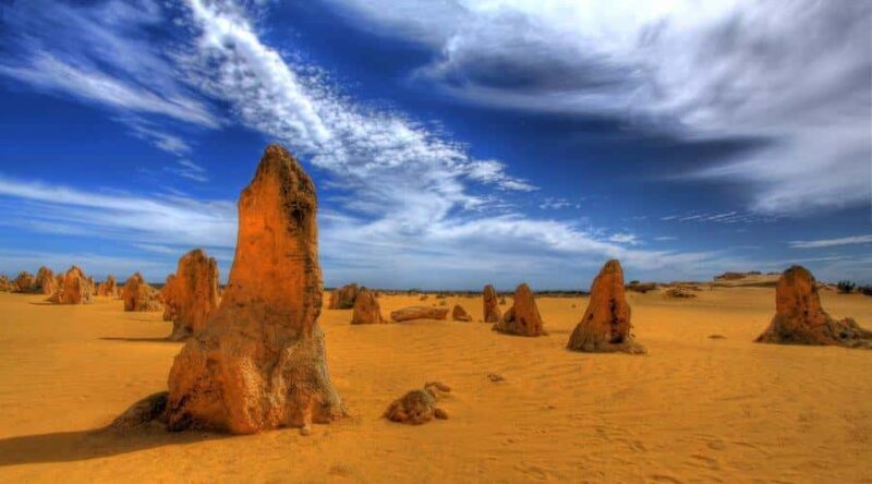 Pinnacles, Koalas & Sandboarding Tour Day Trip from Perth - Authentic Experiences and Notable Quotes