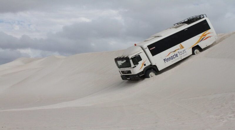 Pinnacles, Koalas & Sandboarding Tour Day Trip from Perth - Who Should Take This Tour?
