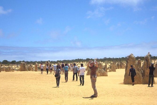 Pinnacles & Rottnest Island Scenic Air & Ground Tour - What Makes This Tour Stand Out?