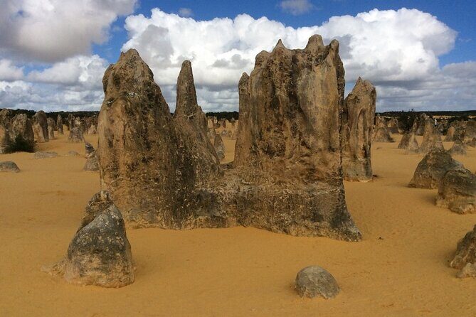 Pinnacles & Rottnest Island Scenic Air & Ground Tour - Final Thoughts: Is It Worth It?