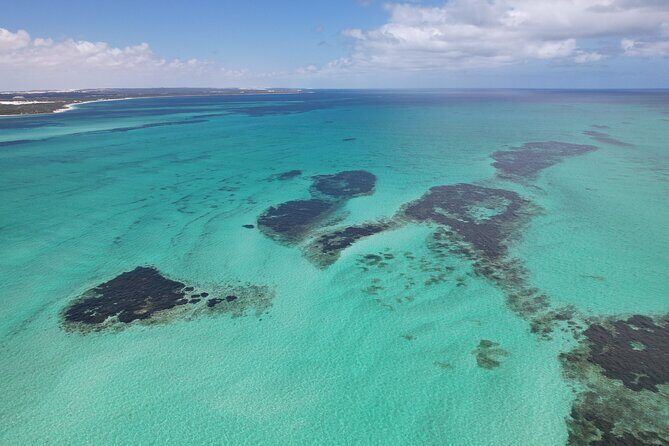 Pinnacles+Lancelin Sand Dune Impression Day Tour from Perth - The Sum Up: Who Should Consider This Tour?