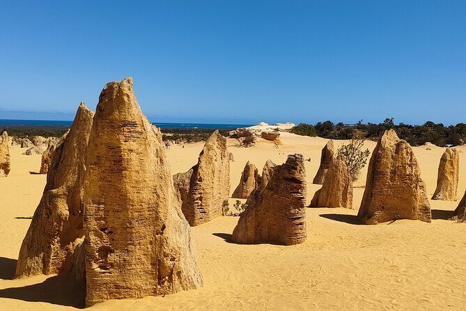 Pinnacles+Lancelin Sand Dune Impression Day Tour from Perth - FAQ: Practical Questions Answered