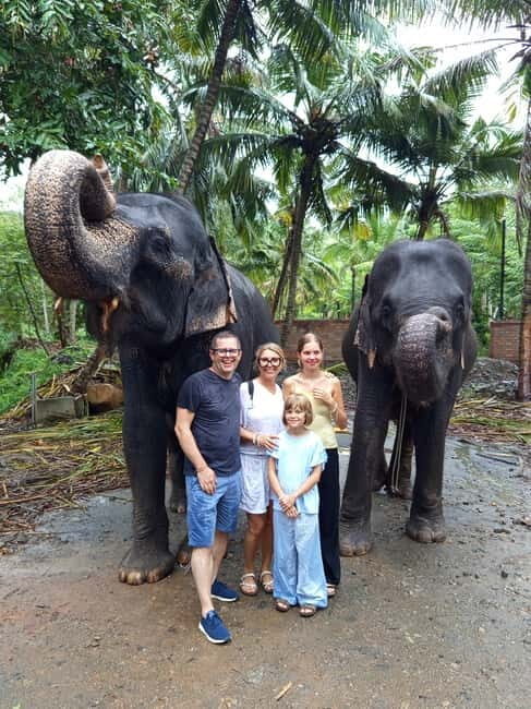 Pinnawala & Kandy Day Tour from Colombo or Negombo - Starting Point and Transportation
