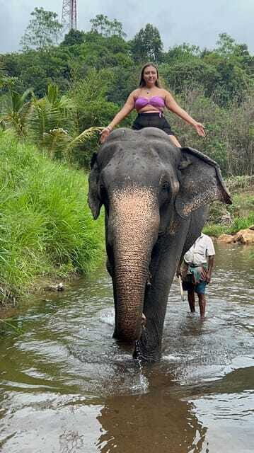 Pinnawala & Kandy Day Tour from Colombo or Negombo - Craft and Gem Workshops: A Taste of Local Artistry