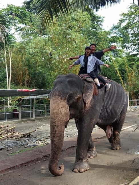 Pinnawala & Kandy Day Tour from Colombo or Negombo - Practicalities and Tips