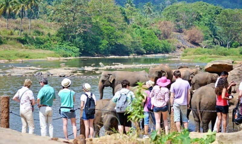 Pinnawala,Kandy Day Tour from Colombo/Negombo - What You Can Expect on the Tour