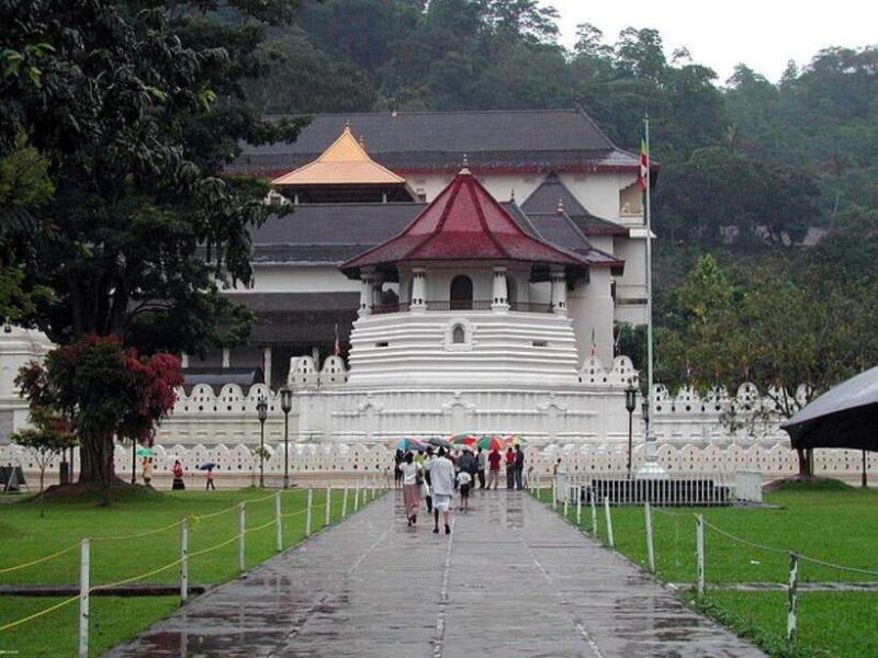 Pinnawala,Kandy Day Tour from Colombo/Negombo - The Value of the Tour