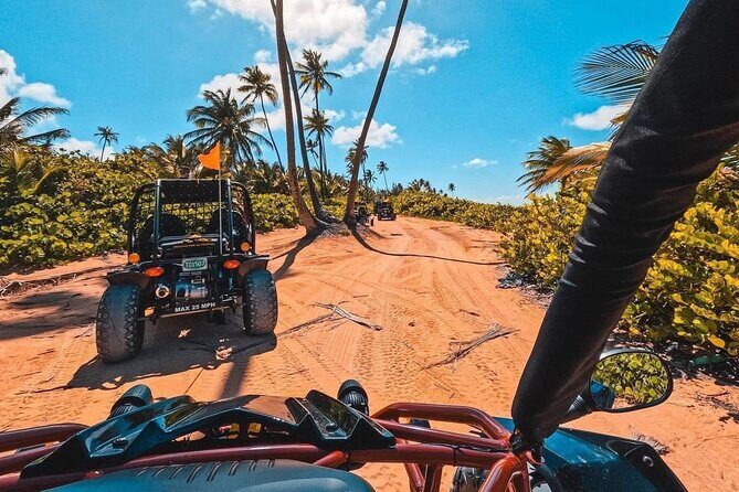 Piñones Buggy & Beach Day - A Closer Look at the Piñones Buggy & Beach Day Experience