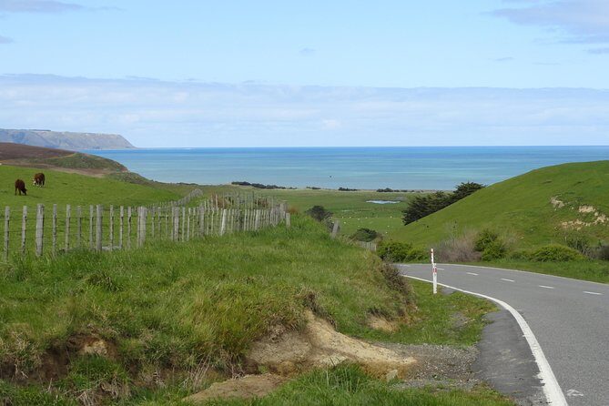 "Pinot to Palliser tour" - Guided tour to Cape Palliser vith lunch + winetasting - The Seal Colony and Coastal Views